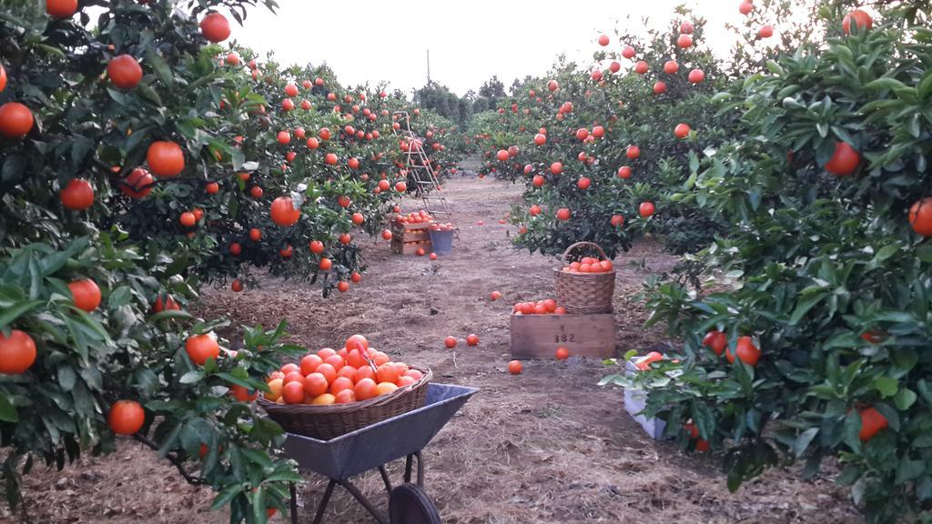 ג'גו Banhakeura Pension מראה חיצוני תמונה